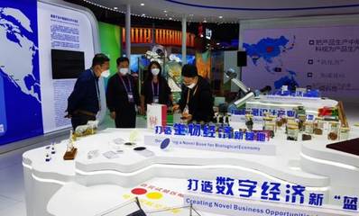 我校數字文化創意力作驚艷亮相第五屆進博會，彰顯創意設計新高度