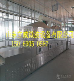 西洋參切片微波干燥設(shè)備選購指南與市場(chǎng)價(jià)格分析