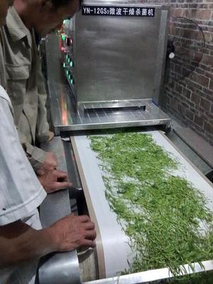 金銀花烘干殺青設(shè)備與微波干燥設(shè)備的技術(shù)優(yōu)勢(shì)與應(yīng)用分析